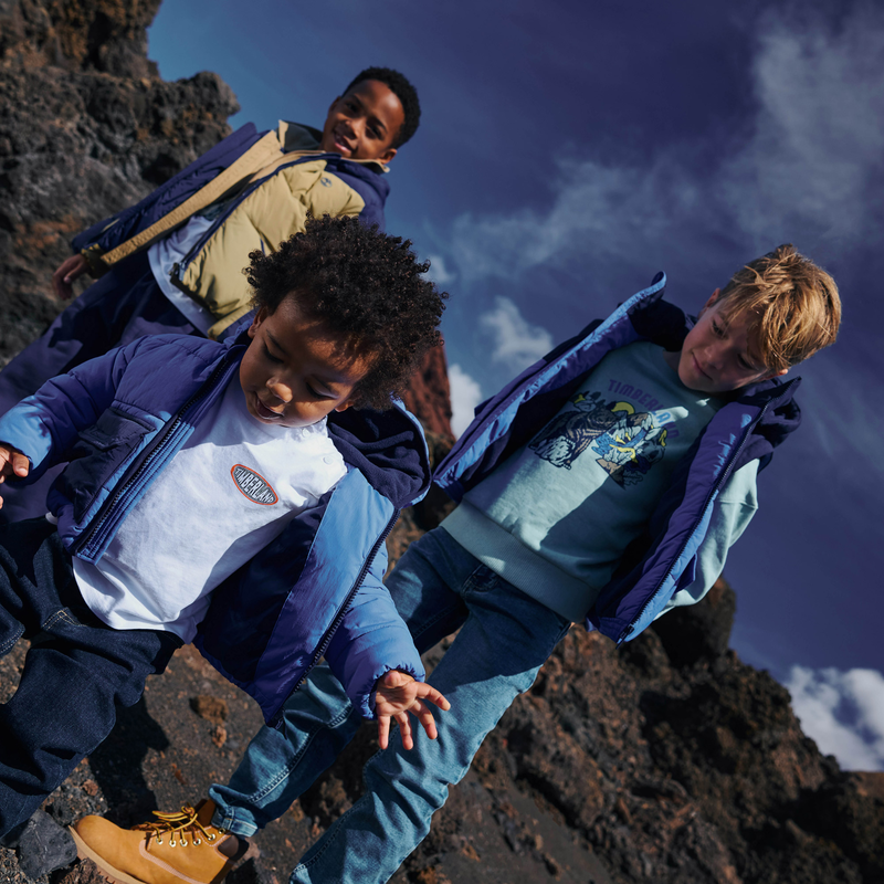 Sweat-shirt en molleton gratt&eacute; TIMBERLAND 
                        GARCON