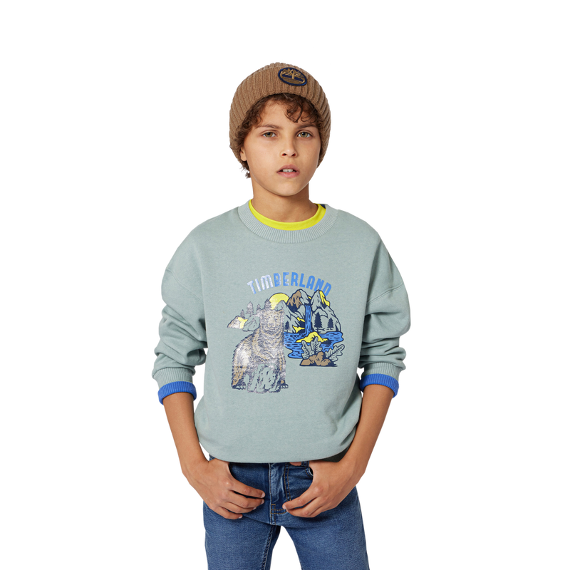 Sweat-shirt en molleton gratté TIMBERLAND 
                    GARCON