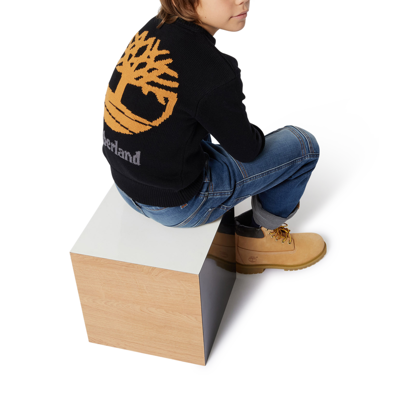 Pull fantaisie TIMBERLAND 
                        GARCON