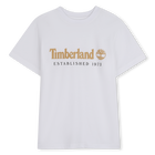 Tee-shirt manches courtes TIMBERLAND 
                    GARCON
