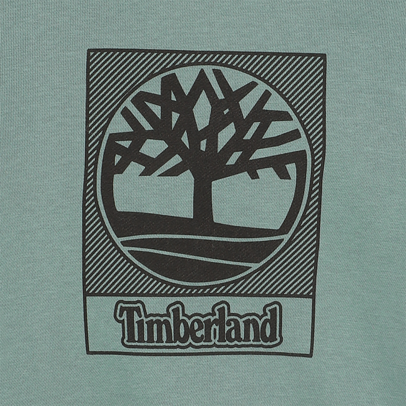 Sweat-shirt à capuche molleton TIMBERLAND 
                    GARCON