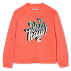 Sweat en molleton BILLIEBLUSH 
                    GARCON