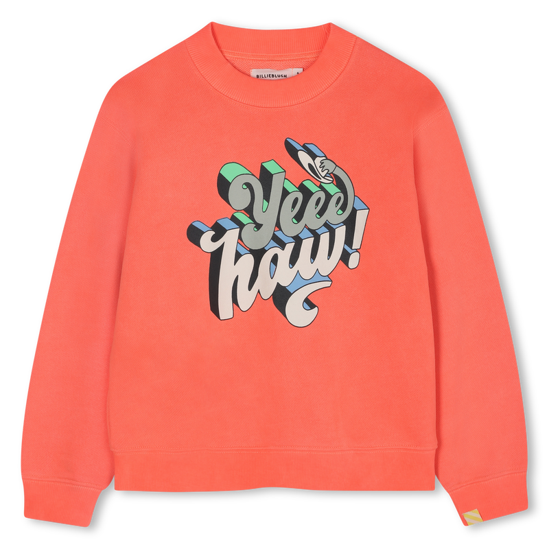 Sweat en molleton BILLIEBLUSH 
                        GARCON