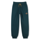 Pantalon de jogging TIMBERLAND 
                    GARCON