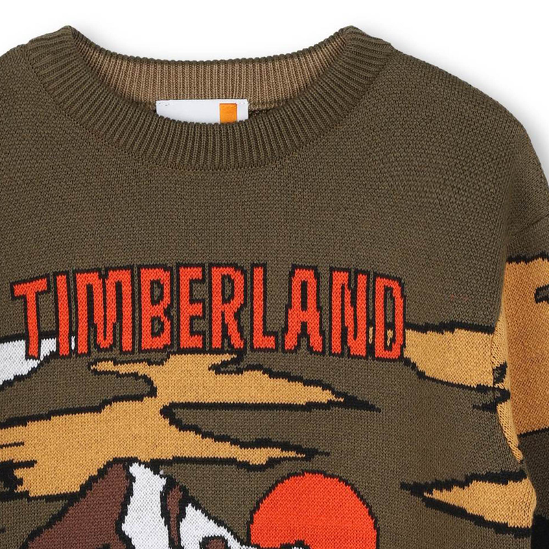 Pull fantaisie TIMBERLAND 
                    GARCON