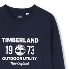 Lot de tee-shirts TIMBERLAND 
                    GARCON