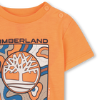 Tee-shirt manches courtes TIMBERLAND 
                    GARCON