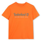 Tee-shirt manches courtes, FIRECRACKER, hi-res