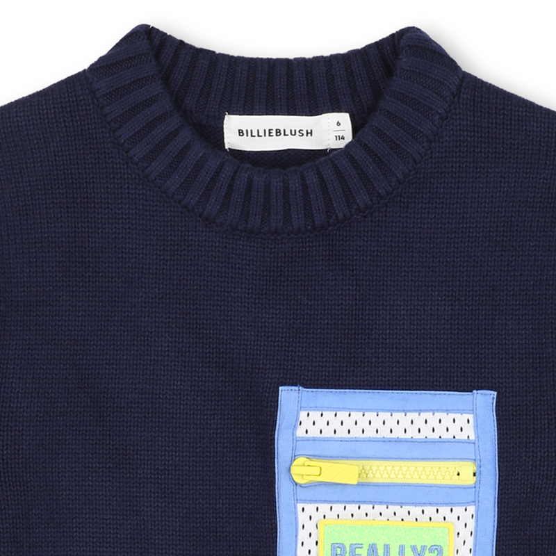 Pull en tricot BILLIEBLUSH 
                    GARCON