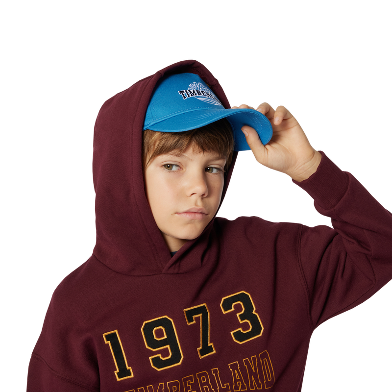 Sweat-shirt à poche kangourou TIMBERLAND 
                    GARCON
