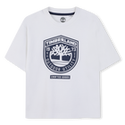 Tee-shirt manches courtes TIMBERLAND 
                    GARCON