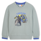 Sweat-shirt en molleton gratt&eacute; TIMBERLAND 
                    GARCON