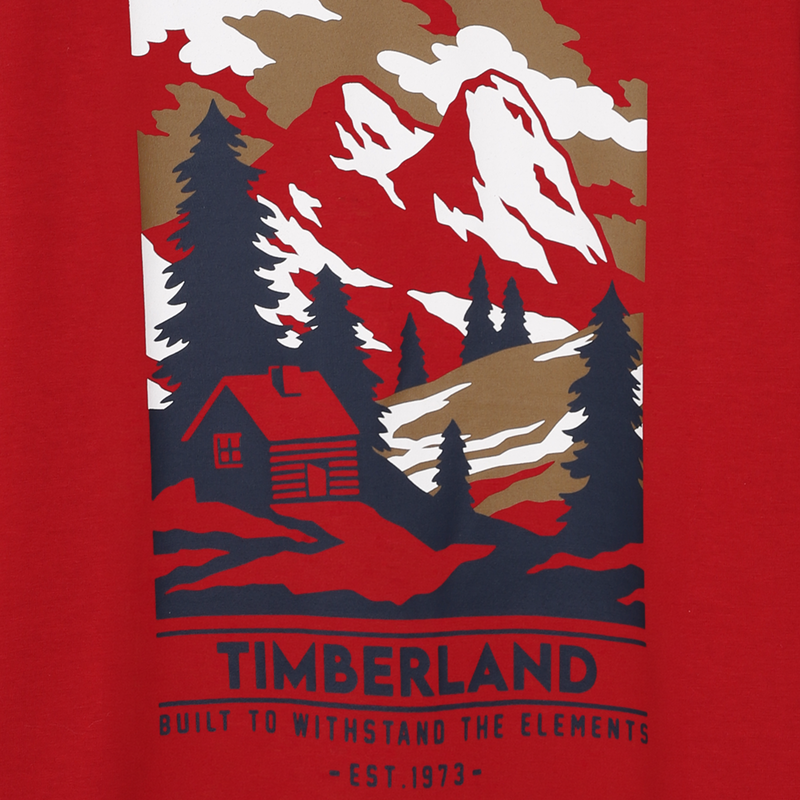 Tee-shirt manches longues TIMBERLAND 
                        GARCON