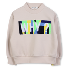 Sweat en molleton BILLIEBLUSH 
                    GARCON