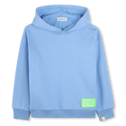 Sweat en molleton BILLIEBLUSH 
                    GARCON