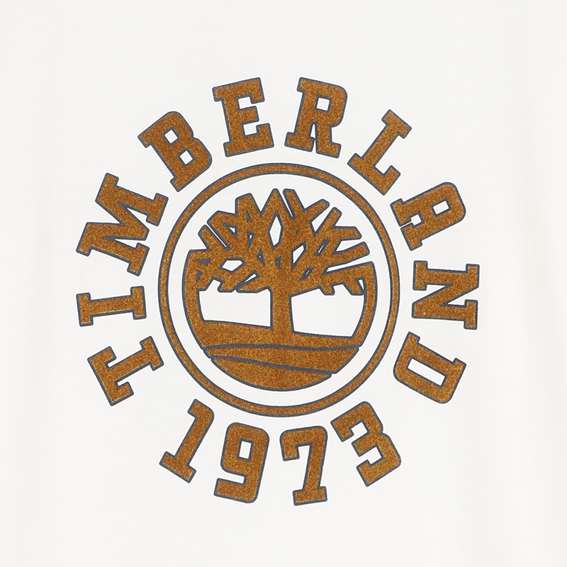 Tee-shirt manches longues TIMBERLAND 
                        GARCON