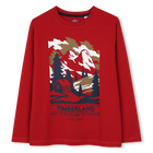 Tee-shirt manches longues, ACEROLA, hi-res