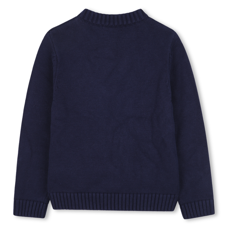 Pull en tricot BILLIEBLUSH 
                    GARCON
