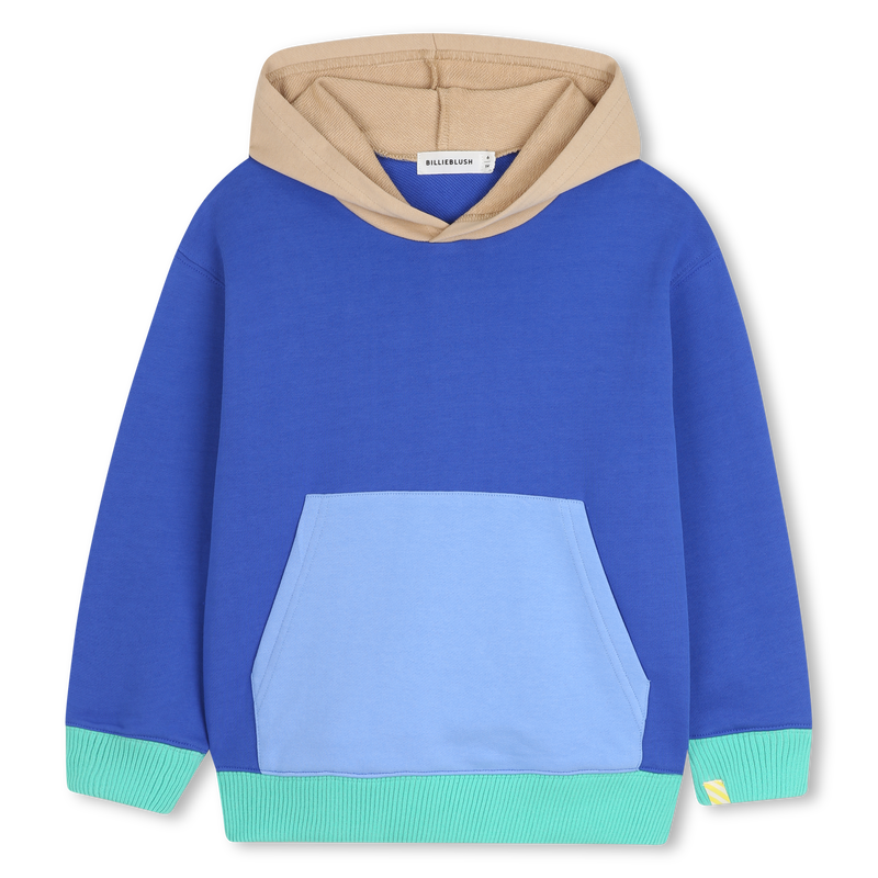 Sweat à capuche BILLIEBLUSH 
                    GARCON