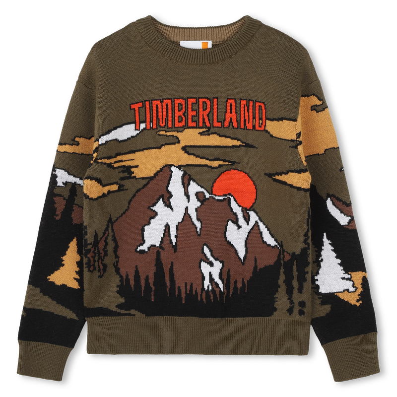 Pull fantaisie TIMBERLAND 
                    GARCON