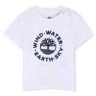 Tee-shirt manches courtes, BLANC, hi-res