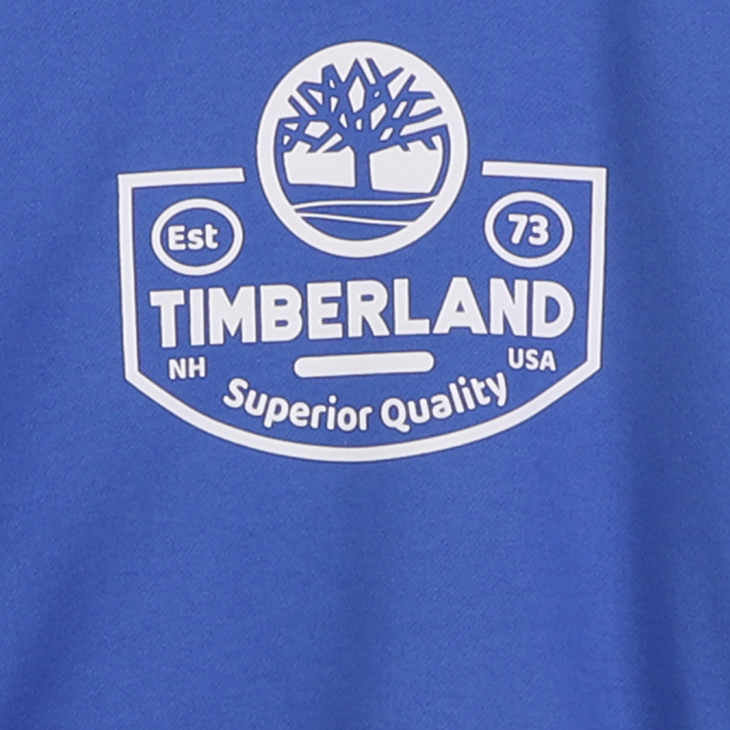 Sweat-shirt en molleton gratt&eacute; TIMBERLAND 
                        GARCON