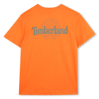 Tee-shirt manches courtes TIMBERLAND 
                    GARCON