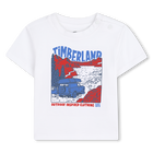 Tee-shirt manches courtes TIMBERLAND 
                    GARCON