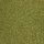 LIGHT OLIVE
